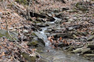 Goff Creek - FLT M10