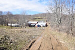 Muddy tractor path behind a farm along Stephens Gulch Rd - FLT M10