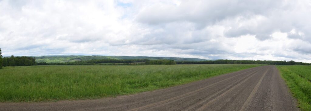 View from Dewey Road looking north