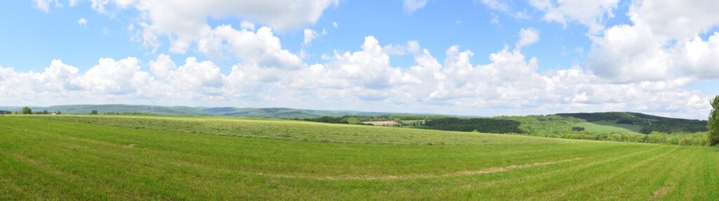 View from field near Turnpike Road