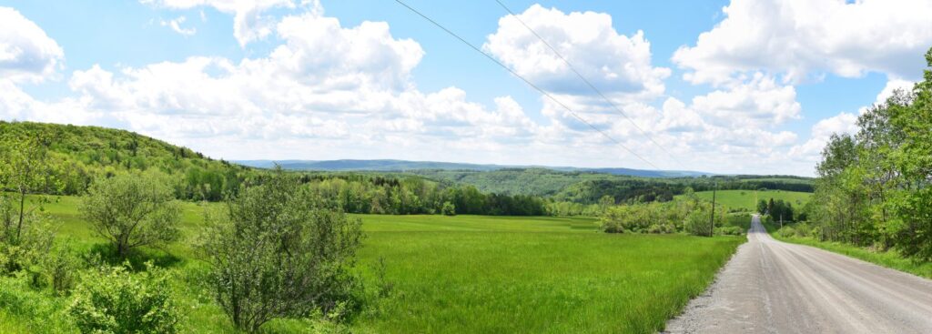 View from Windfall Hill Road