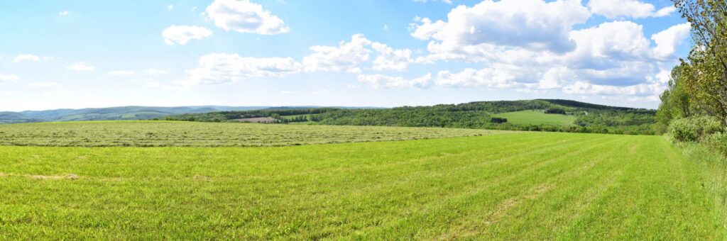 View from field near Turnpike Road