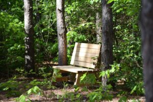 Bench just off Laine Road.