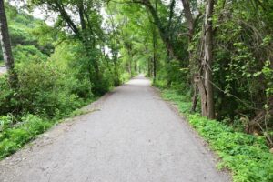Rail trail looking north toward Webbs Crossing Road (CR 66)