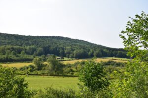 View from N. Almond Valley Rd, looking across the valley at Bush Rd and the FLT trailhead