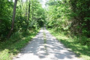 Roots Rd, looking west at intersection with Bill Morris Rd and Klipnocky Rd