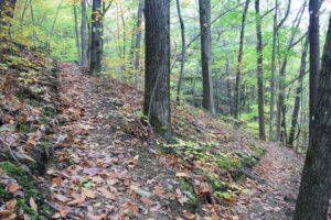 Switchbacks on the way down East Hill, trail heading west