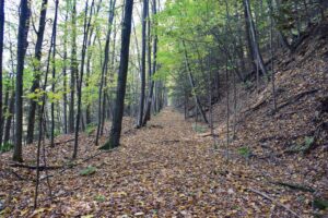 Old Pittsburg Shawmut & Northern railroad bed