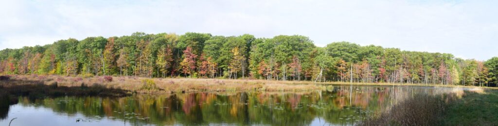 Pond on East Hill