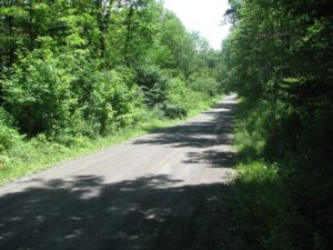 Trailhead at Level Green Rd looking south-east