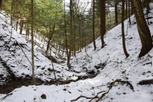 A deep gully with a stream running through between Kennedy Rd and Delude Hill Rd
