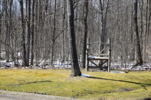 Big chair across from FLT trailhead on Fox Hill Rd
