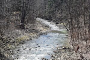 Looking south over Keshequa Creek from Cheese Factory Rd