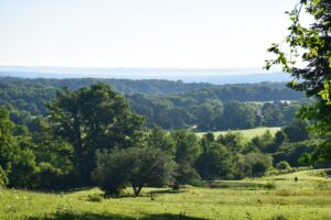 Looking across a horse pasture to the hills beyond