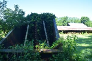 Vines overgrowing a large metal bin with a large auger