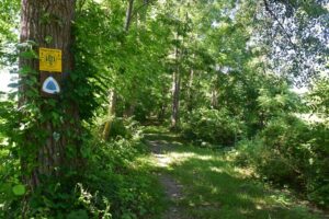 FLT and NCT signs on the Genesee Valley Greenway