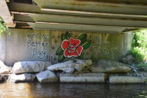 Graffiti found under bridge over East Koy Creek on Overholt Rd