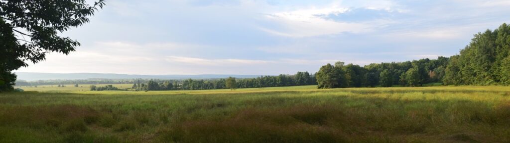 Looking across a field west of Camp Rd