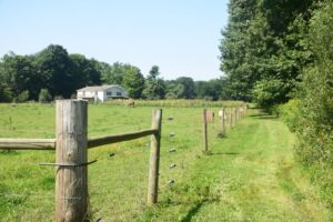 Looking west along a pasture off Stickle Rd