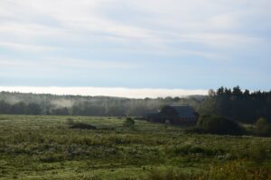 Fog rising from the forest behind a barn along Rushford Rd