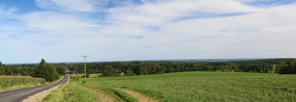 View looking east on Williams Rd