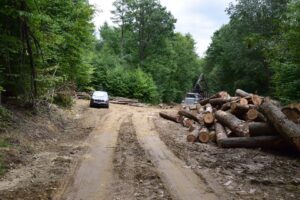 Logging staging area between Sawmill Run Rd and W. Branch Bucktooth Hollow Rd