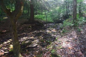 Small stream south of ASP 1