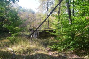 Old lean-to south of ASP 1